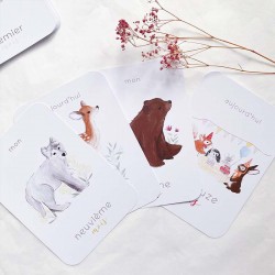 Cartes premiers mois bébé -...